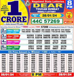 Nagaland 8 PM rEsult 28.1.2024