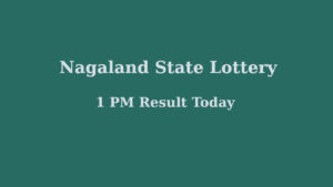 Nagaland State Lottery Sambad 20.2.2024 Result 1PM Today