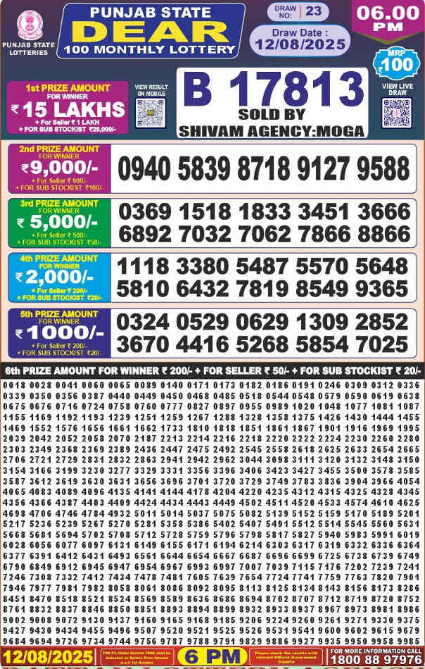 Punjab Dear 100 Monthly Lottery Result 12.8.2025