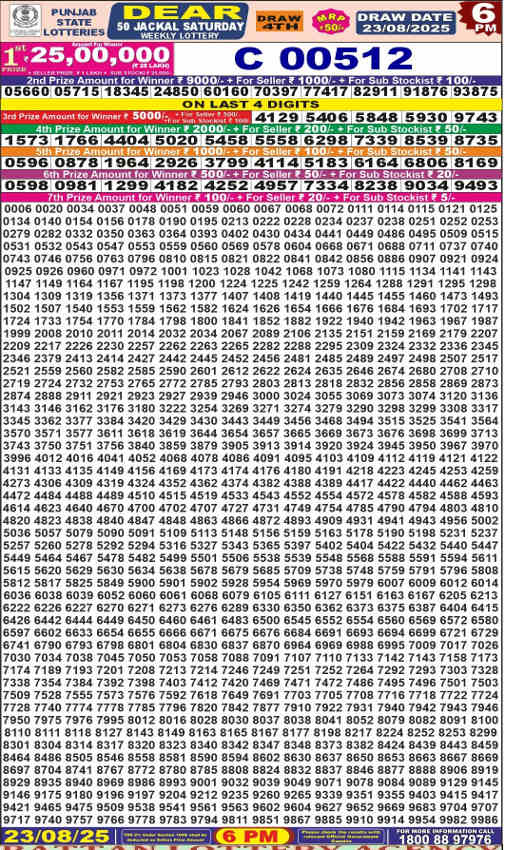Punjab Dear 50 Jackal Saturday Result 23.8.2025