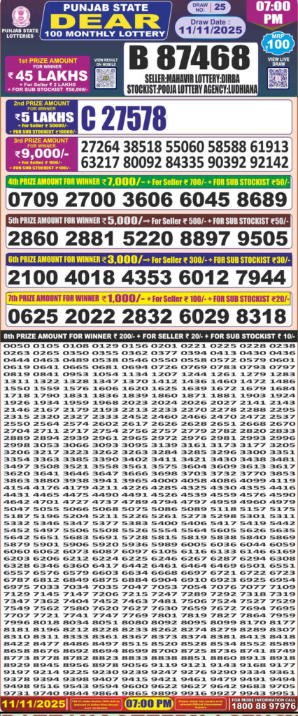 Punjab Dear 100 Monthly Lottery Result 11.11.2025